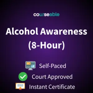 Alcohol Awareness Course (8-Hour)
