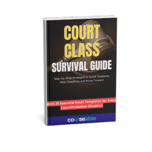 Court Class Survival Guide