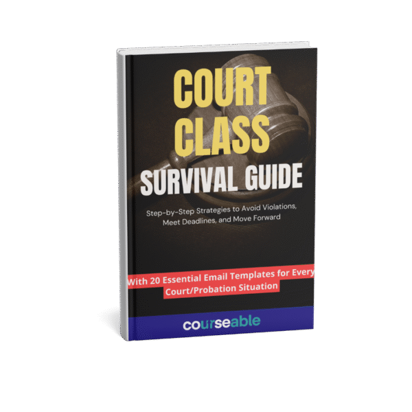 Court Class Survival Guide