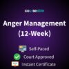 Anger Management Course (12-Week)