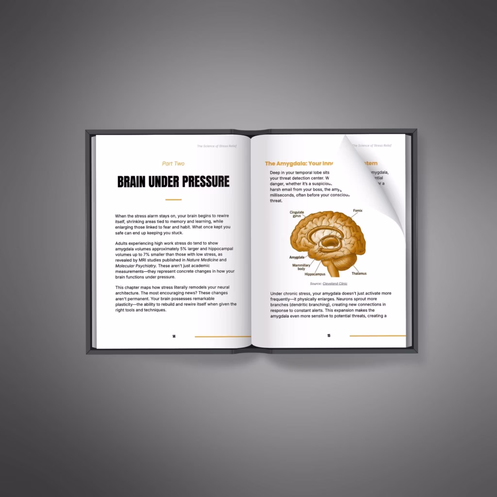 Science-of-stress-relief-2