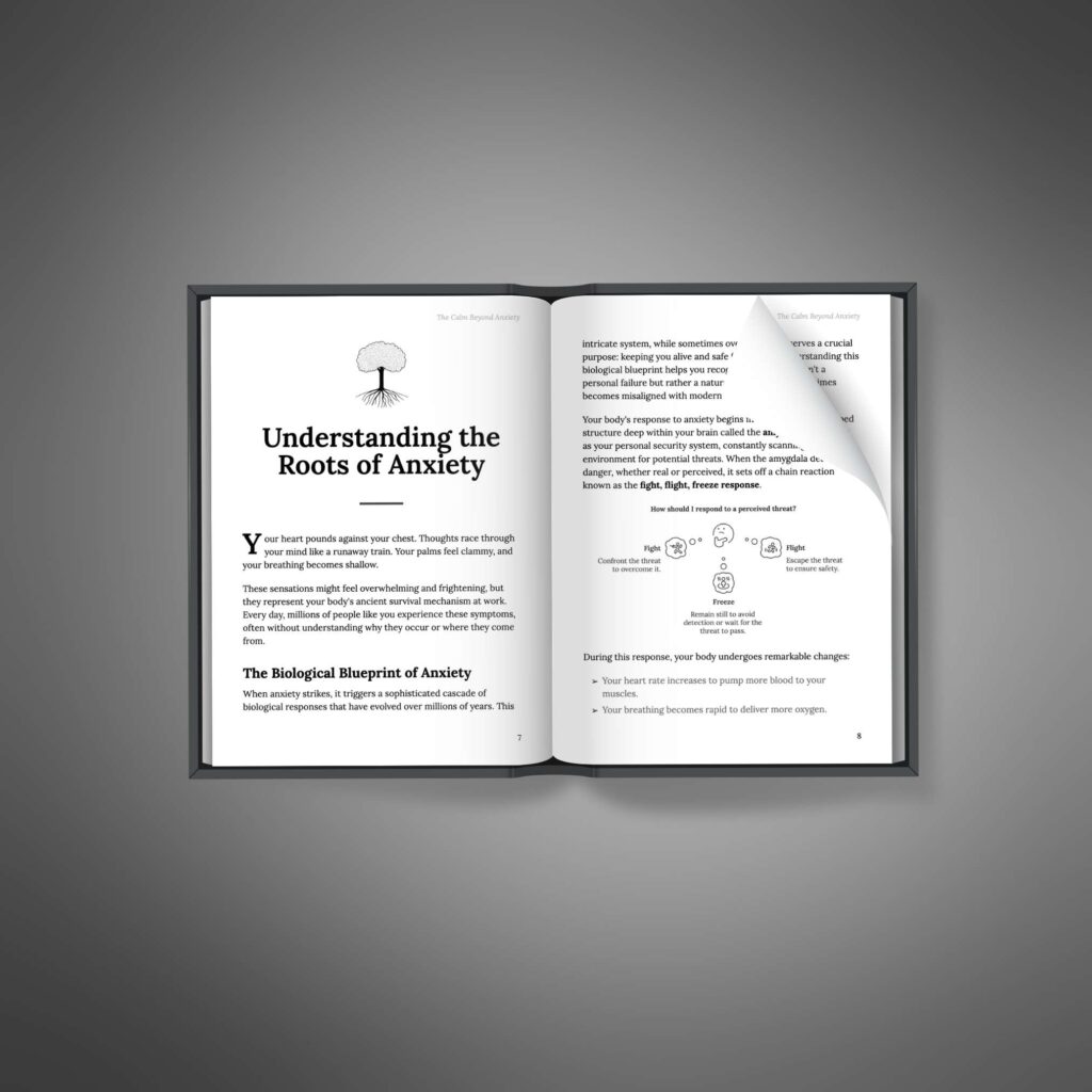 The Calm Beyond Anxiety - Book2